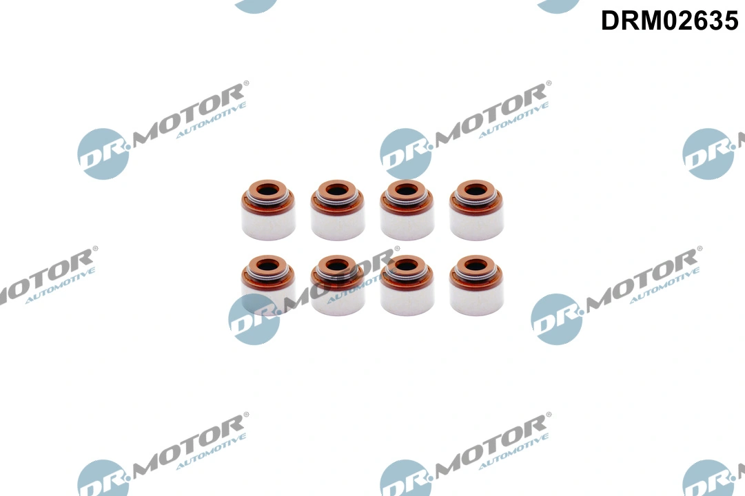 Seal Ring, valve stem